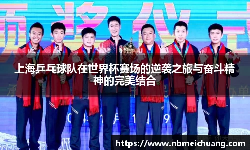 上海乒乓球队在世界杯赛场的逆袭之旅与奋斗精神的完美结合